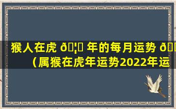 猴人在虎 🦁 年的每月运势 🕊 （属猴在虎年运势2022年运势）